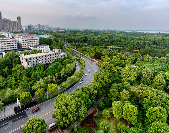 情形治理和情形；